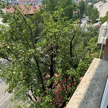 Stan Dino Sarajevo